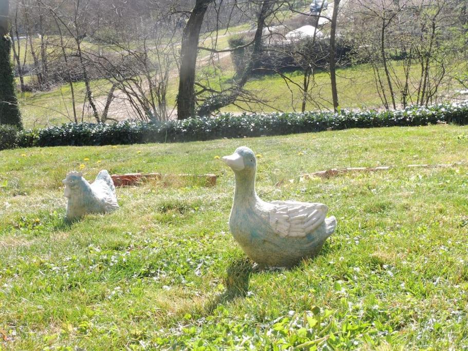 Au Coeur De La Dombes Villa Saint-Paul-de-Varax Luaran gambar